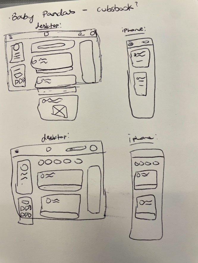 Describe your project